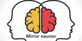 neuron.png