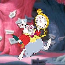 usagi.jpg